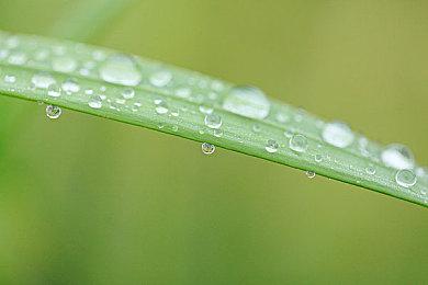 视频演示创建《暗黑破坏神4》野蛮人法师角色